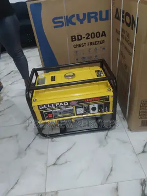 Very Standard Pure Copper Elepaq Constant 4.5kva Generator