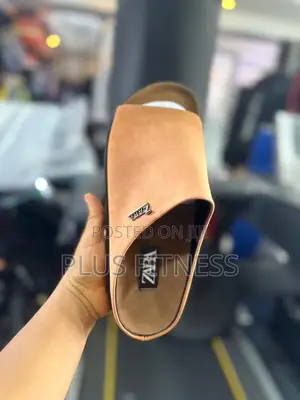 Zara Palms