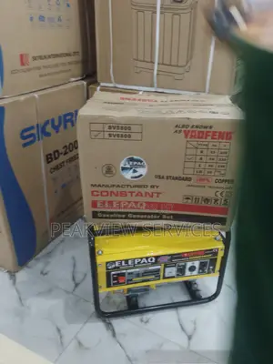 Standard and Durable 4.5kva Elepaq Constant Manual Generator