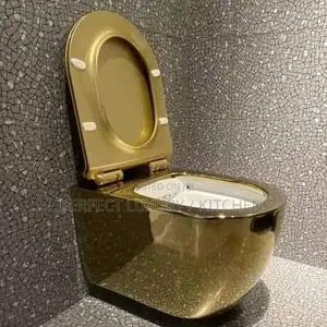 Quality Gold Wall Hang Concealed W.C Water Closet