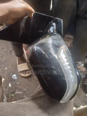 Side Mirror