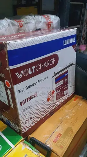 Luminous Volt Charger 220ah/12v