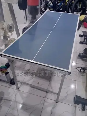 Children Table Tennis Table