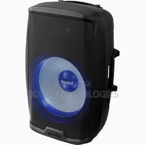 8" Public Address System PAS, Microphones, Bluetooth, Sdcard