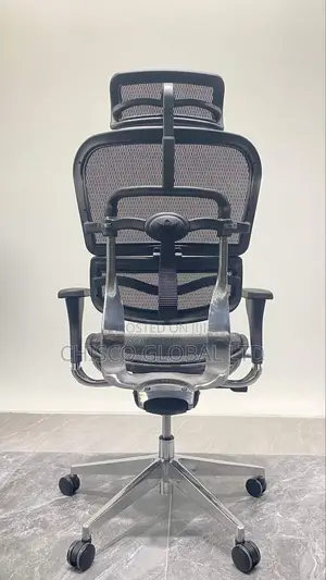 Office Chair (Orthopedic)