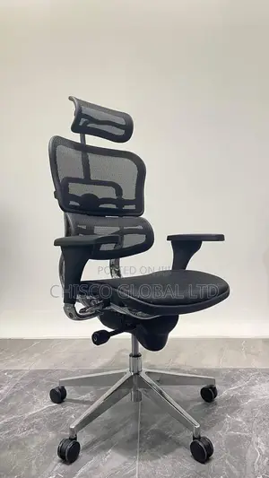Office Chair (Orthopedic)