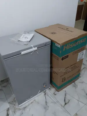 Fast Freezing Hisense Chest Freezer Silver 