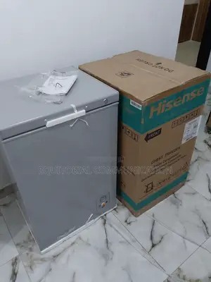 Hisense 95litres Chest Freezer Silver