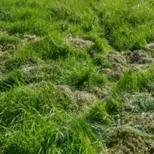 For Sale
Fenced Vacant Land Measuring Approximately 2400sqm