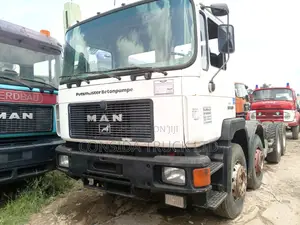 Man DIESEL Tga White 1998