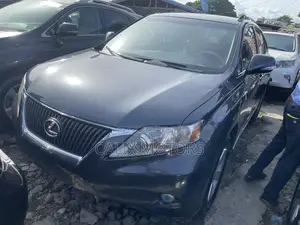 Lexus RX 2010 Gray