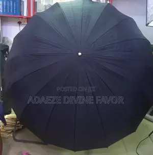 New 160cm Parabolic Umbrella (Black Color)