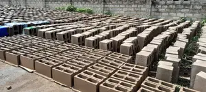 6" Concrete Blocks Moulding On The Site