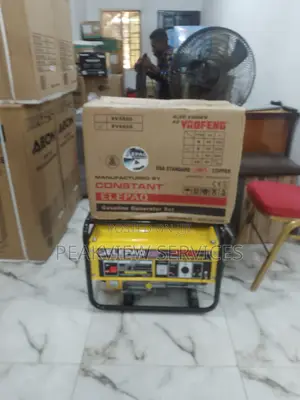 Durable and Unique Sv6800 Elepaq Constant 4.5kva Generator
