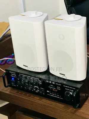 Outdoor Speaker With Amplifier
