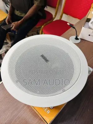 Ceiling Speaker 30watts