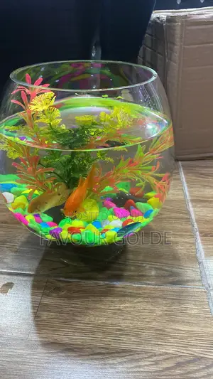Fishs Bowl