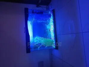Indor Aquarium