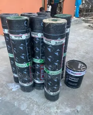 Roofing Leakage’S