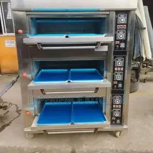 6 Trays Gas Oven