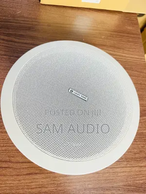 30watts Lucky Tone Ceiling Speaker