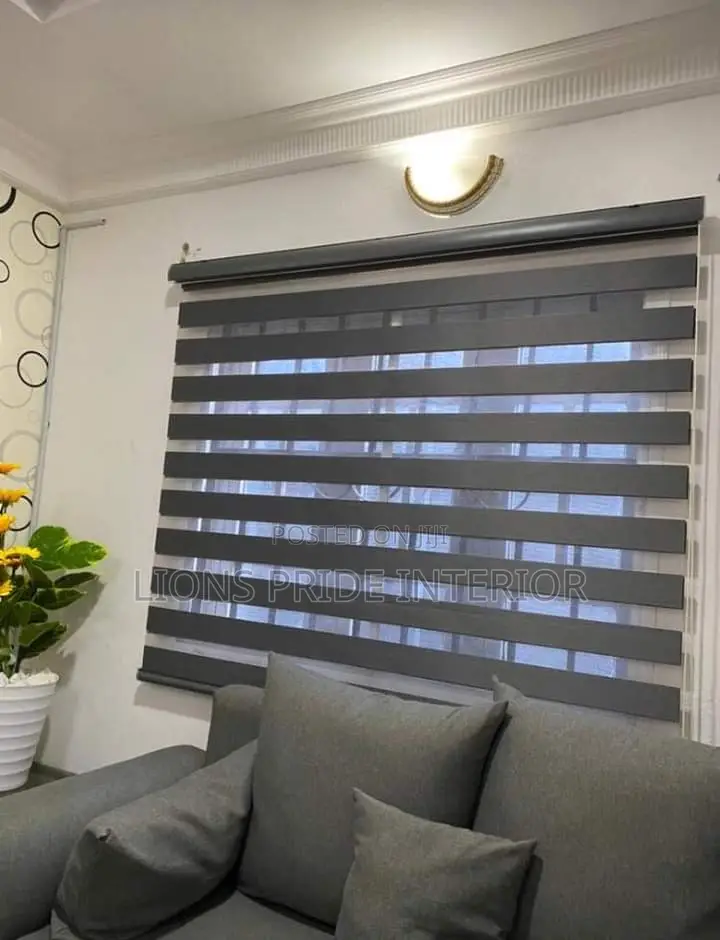 Day/Night Window Blind