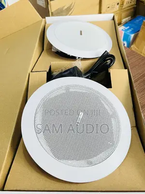 Two in One Bluetooth Ceiling Speaker