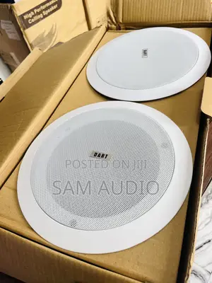 2 in One Ceiling Speaker