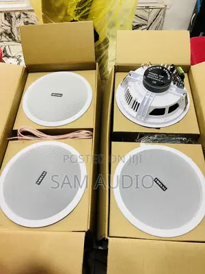 4 in 1 Super Bass Ceiling Speaker