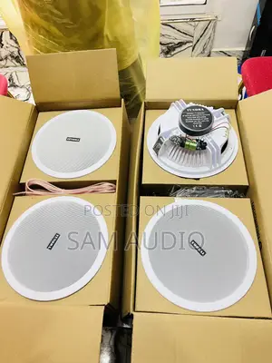 Tundra Four in One Bluetooth Ceiling Speaker