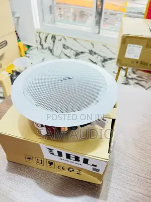 Original JBL Ceiling Speaker