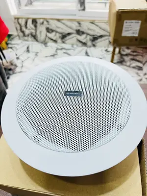 Surpass Ceiling Speaker 30watts