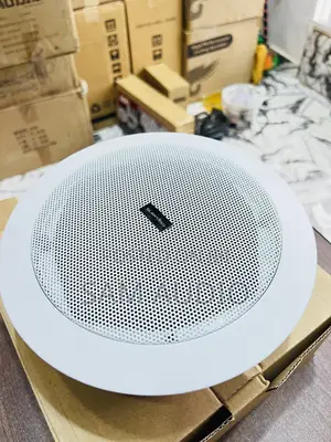 Ceiling Speaker Surpass 30watts