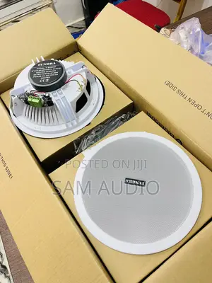Tundra 2 In1ceiling Speaker