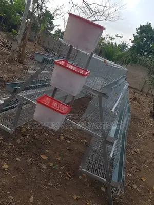 96 Capacity Imported Cage