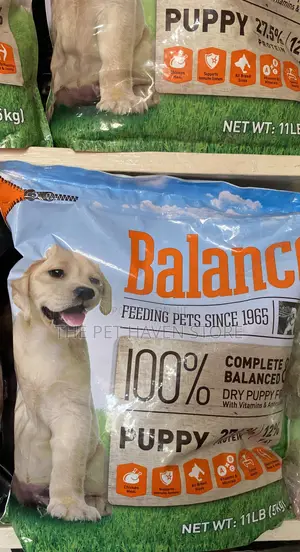 Balance Puppy