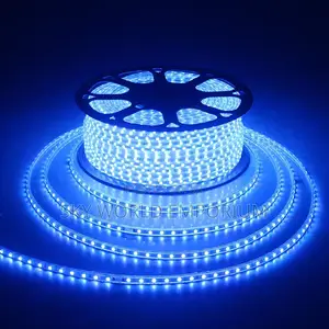 Blue Colour Rope Light Rain