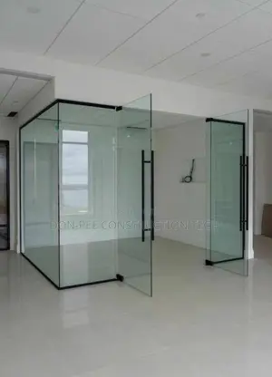 Frameless Glass Doors