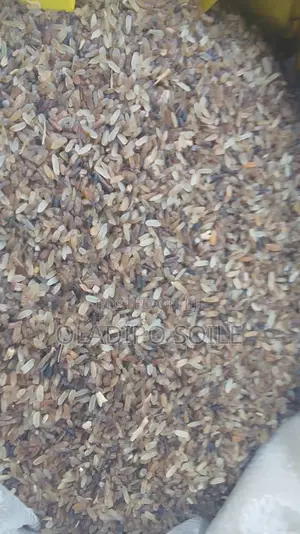 Brown Rice for Dogs