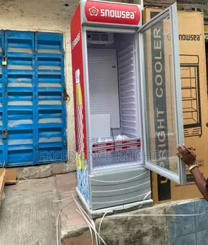 Snowsea Single Door(Big Compressor)
