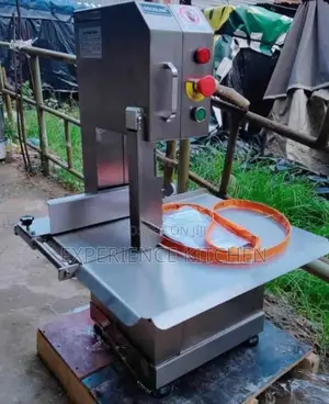 Standing Bone Saw