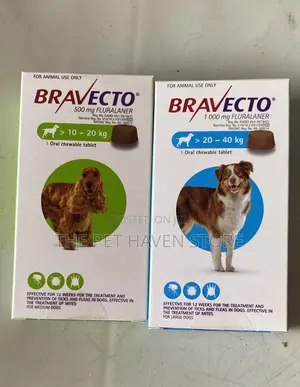 Bravecto for Tick and Flea