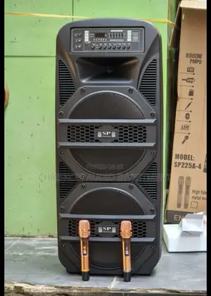 Sound Prince Double 15" Public Address System