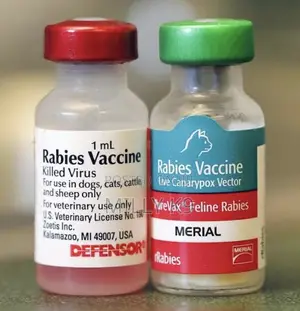 Rabies Vaccine