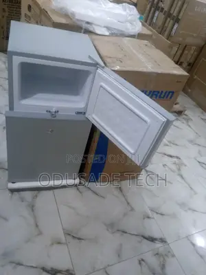 Reliable Low Voltage Skyrun Bcd85hc Refrigerator