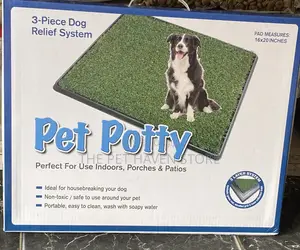 Dog Accessories