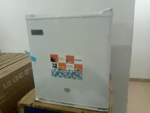 Skyrun 50 Liters Bedside Fridge | BCD-55A