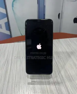 Apple iPhone 11 Pro Max 512 GB Gray
