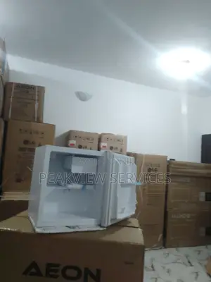 Best Quality 50litres Skyrun Single Door Fridge BCD-55a