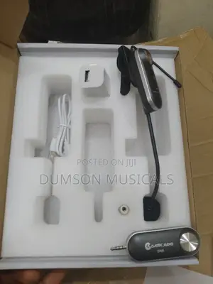 Saxophone  Wireless Mic